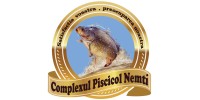 Balta Nemti